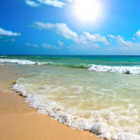 Meet your Posher, Veronica - Picture 1 of 1